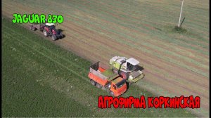 Комбайн Claas Jaguar 830 уборочная в засуху однолетка