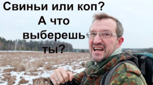 Свиньи или коп? А что выберешь ты?