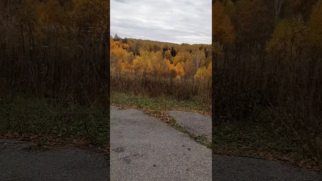 Золотая осень в Башкирии смотреть онлайн