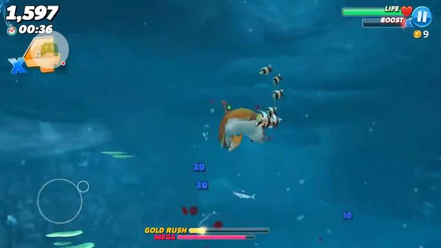Game 2 hungry shark world