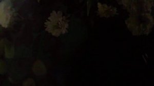 А ты там, там, там где смородина растет(наброски)