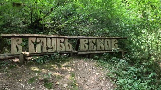 Сочи Тисо-Самшитовая роща