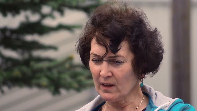 Порода собак шарпей, болезни шарпеев, уход смотреть онлайн