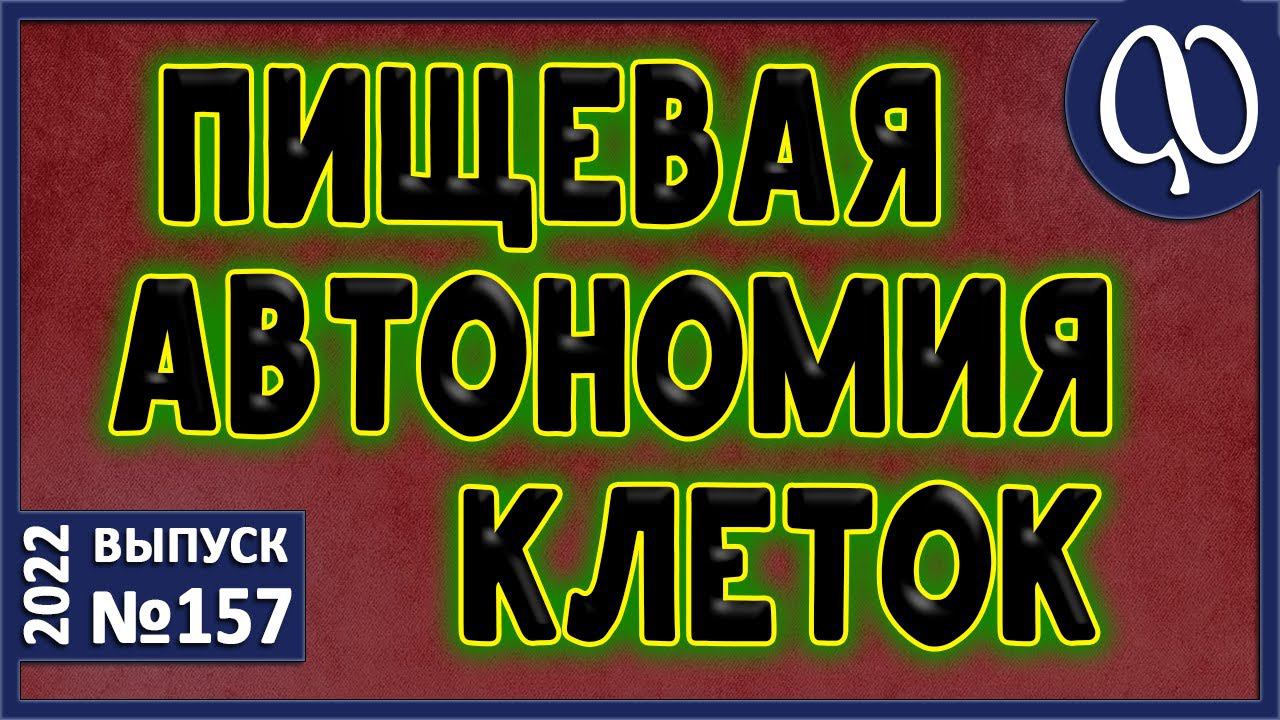 Клетки АВТОНОМНЫ. Эукариоты. Прокариоты. Взаимоотношение нормобиоты и клеток. Питающая слизь.