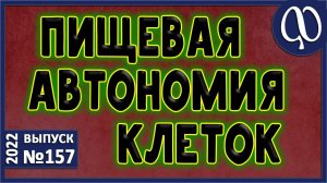 Клетки АВТОНОМНЫ. Эукариоты. Прокариоты. Взаимоотношение нормобиоты и клеток. Питающая слизь.