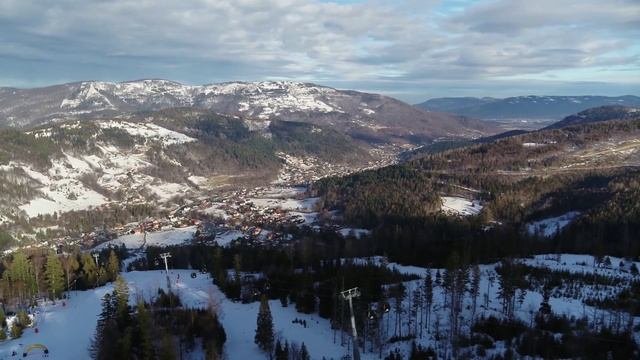 Воля