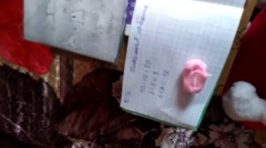 Школа Басиков, их вызвали к деректору ?