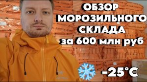 Морозильный склад 10.000тн МЯСА после года эксплуатации. Стеллажи, ворота, отгрузка, стоимость.