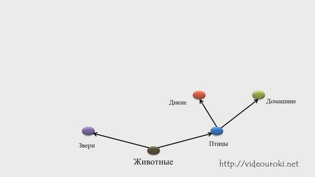 7 Онлайн урок №7 Направленный граф 7 класс