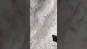 RОССИЯДА ЭНГ ОСОН ПУЛ ТОПИШ ЙУЛИ.