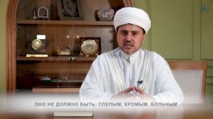 Заклание жертвенного животного в дни Курбан-байрам