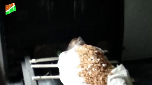 Electric Savdaah कैसे होता है | electric मशीन से अंतिम संस्कार | ELECTRIC CREMATORIUM AT 450 degree смотреть онлайн