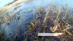 Ловля на пробку и ловля щуки на спиннинг. СЕКРЕТ  КЛЁВА  рыбы.