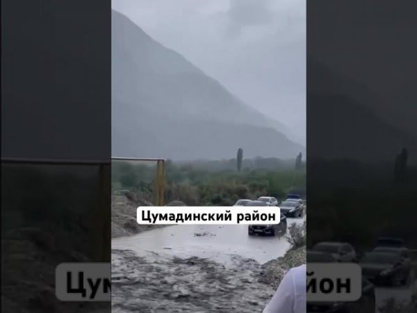 Сетевой поток в Цумадинском районе