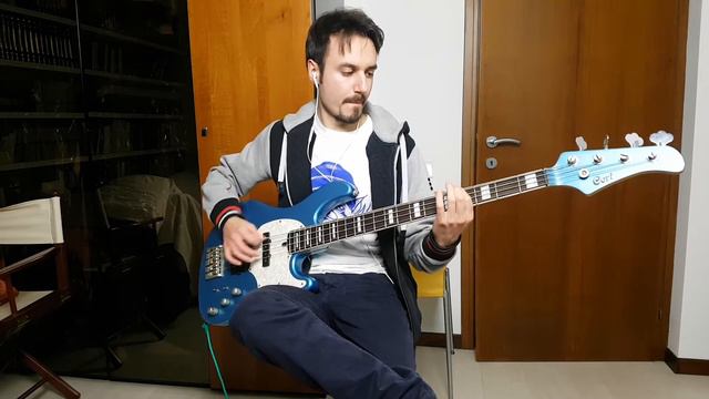 Fall Out Boy - Thnks fr th Mmrs - Bass Cover смотреть онлайн