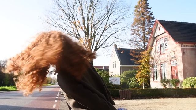 Die Phalaenopsis - Zimmerpflanze des Monats Dezember смотреть онлайн