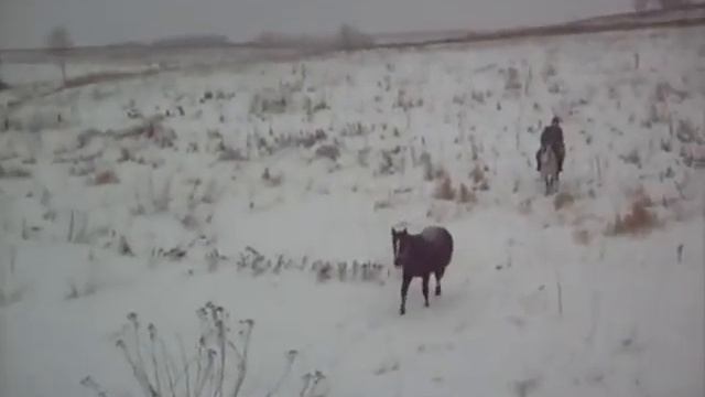 конная прогулка смотреть онлайн