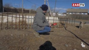 Забытый посёлок Ивановка, или как Василий Турсабаев справляется со своим наследием