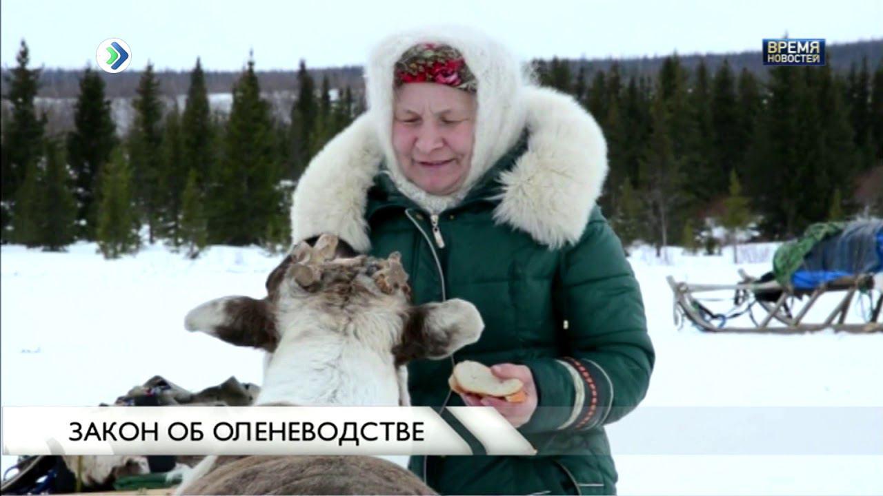 Закон об оленеводстве