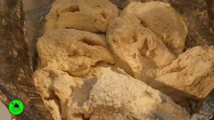 Щука жареная , с карамелизированным луком. Невероятно вкусно и очень просто