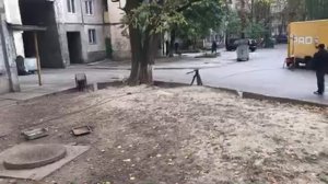 Пёс 5 как снимают  сериал в Киеве