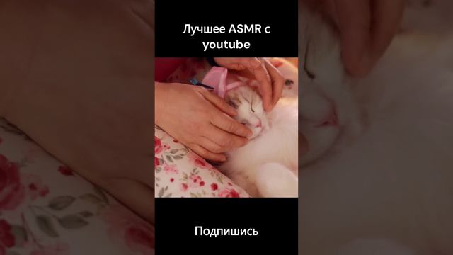 Best ASMR youtube лучшее АСМР