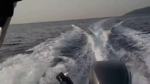 Эхолот-картплоттер Garmin Gpsmap 721xs