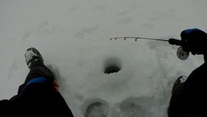 РЫБАЛКА ДНЁМ И НОЧЬЮ. Окунь, Налим.