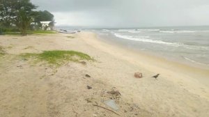 Cavelossim beach to Mobor beach of South Goa