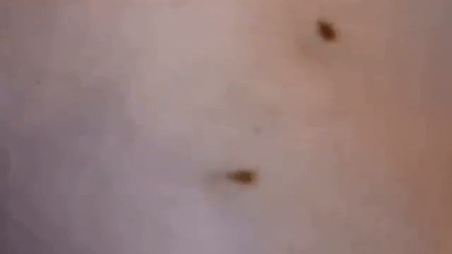 морковная садушка смотреть онлайн