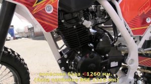 Мотоцикл BSE Z1 150. Питбайк с вертикальным двигателем, на колесах 19"/16".