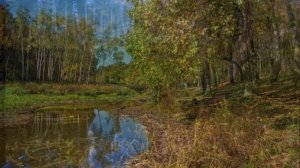 "РЕЧКА"... (Фото Николая Будина (Тула) - Поёт гармонист Иван Плешивцев)