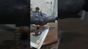 Волк своими руками! Из пластиковых бутылок!