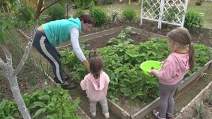 6 соток 21 июня 2023 года. Хроника.