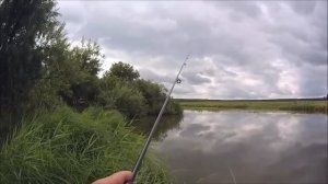 Ловля ультралайтовым спиннингом карася, на муху