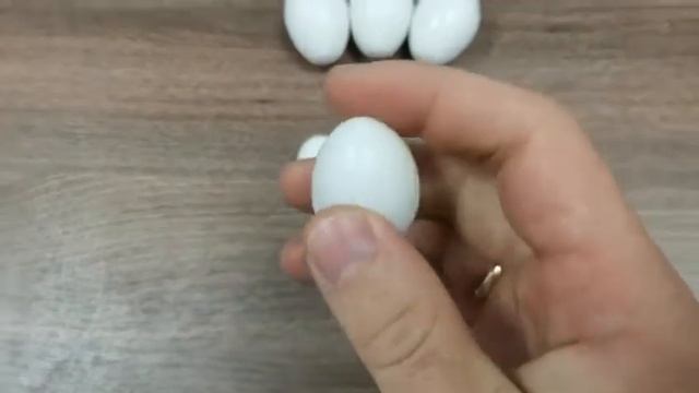 Подкладные яйца (муляжи яиц) для голубей, фазанов, кур и уток