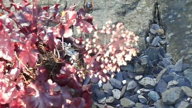 Nikon coolpix s6700 movie test смотреть онлайн