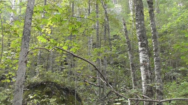 Щелейки 2016. Вести из путешествий. смотреть онлайн