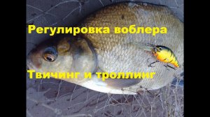 Что делать, чтобы воблер не всплывал  Приманки для трола и твича  туристы, тюлени и проч.