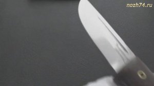 Нож Риф-115 (Накладки текстолит, 95Х18) - nozh74.ru