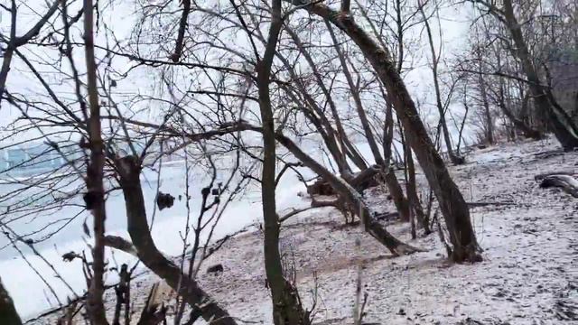 VID 20240325 090203 Рыбы (Марианна Мур)...Павел Васильев Лахтинский смотреть онлайн