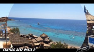 Sentido Reef Oasis 5* (Египет, Шарм эль Шейх)