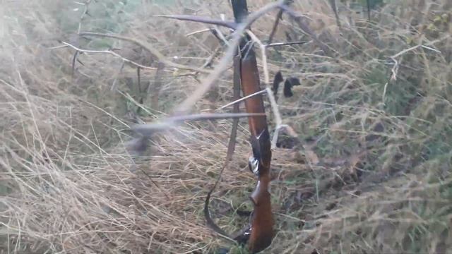 25 декабря 2021 г. Результаты охоты с 28 калибром на зайца...... смотреть онлайн