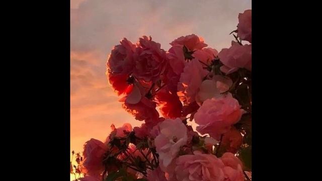 [FREE] "EDEN" - BOUNCY JUICEWRLD x AZIZI GIBSON TYPE BEAT | 2021 TYPE BEAT смотреть онлайн