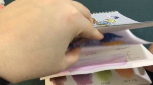 Пастельные цвета акварели «Белые Ночи"