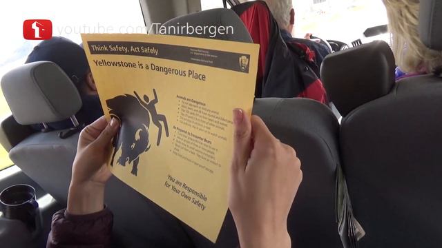 Что случится ЕСЛИ ПОДОЙДУ к бизону? Природа Америки ГЛАЗАМИ КАЗАХСТАНЦА Астана Казахстан Yellowston смотреть онлайн