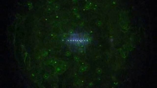 Оптический пинцет для вирусов смотреть онлайн