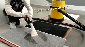 RLP208 carpet cleaner