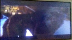 Чёрные волки