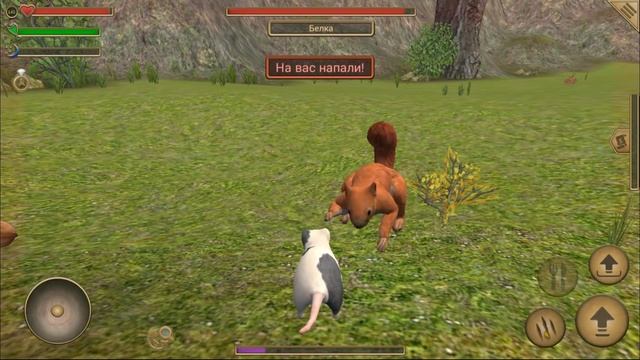 СИМУЛЯТОР МЫШИ #30 ОХОТИМСЯ на КОТА выполняем ЗАДАНИЯ в Mouse Simulator